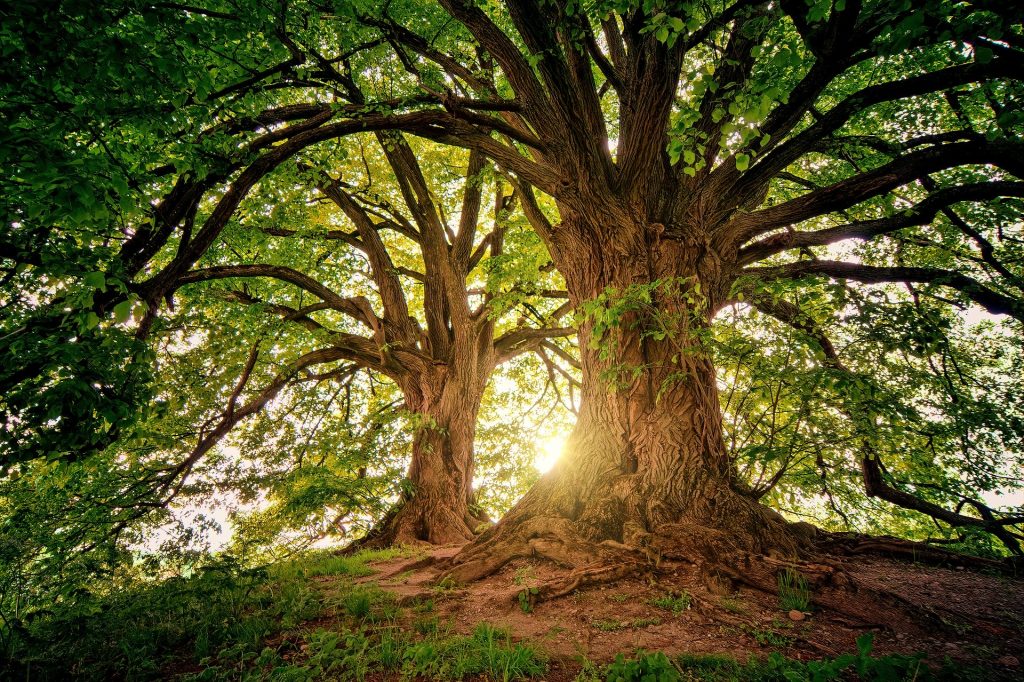 Sustainable Future